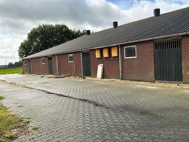 Varkensstal buitenzijde 105 x 28 meter - afbeelding 10 van  19