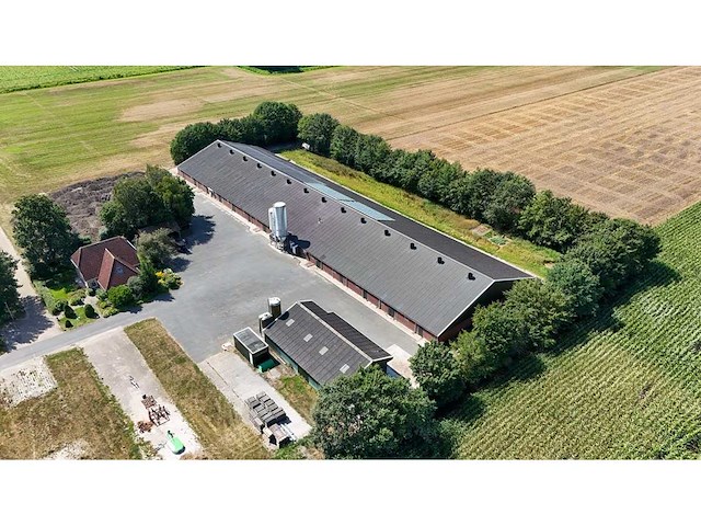 Varkensstal buitenzijde 105 x 28 meter - afbeelding 1 van  19