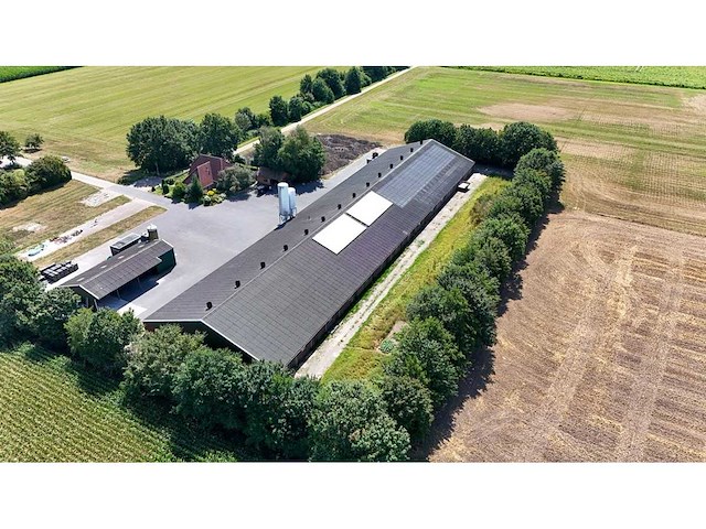 Varkensstal buitenzijde 105 x 28 meter - afbeelding 11 van  19