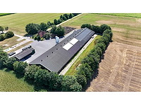 Varkensstal buitenzijde 105 x 28 meter - afbeelding 11 van  19