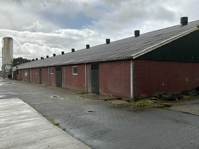 Varkensstal buitenzijde 105 x 28 meter - afbeelding 13 van  19