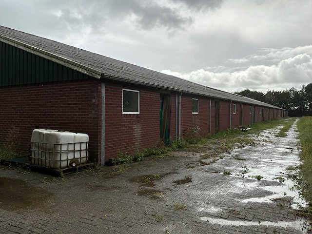 Varkensstal buitenzijde 105 x 28 meter - afbeelding 15 van  19