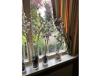 Vazen (4x) - afbeelding 3 van  3