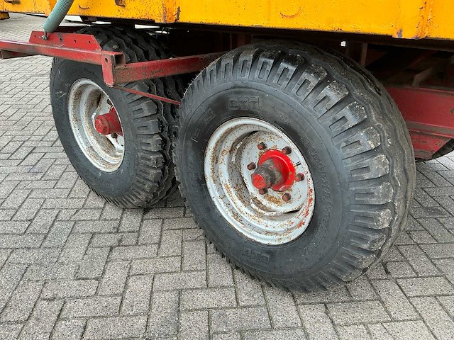 Veenhuis kipper - afbeelding 6 van  19