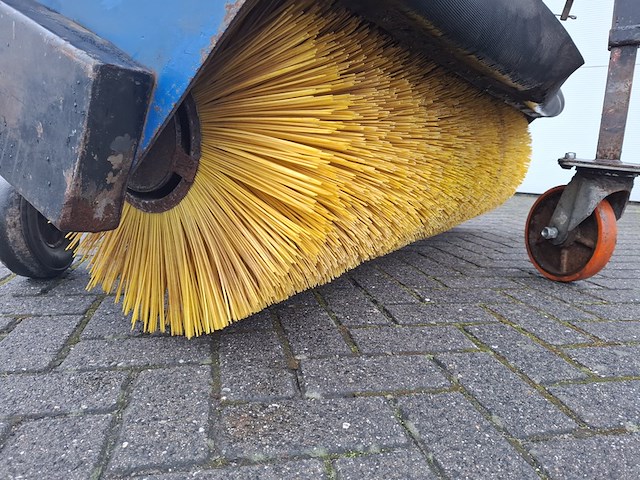 Veger, ceres visser, 2012 - afbeelding 7 van  11