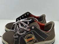 Veiligheidsschoenen maat 41 d