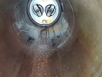 Vemag - afbeelding 19 van  19