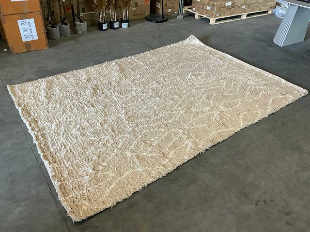 Venture design vloerkleed leiko beige 200x300cm - afbeelding 1 van  3