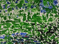 Vera pongaert - afbeelding 2 van  5