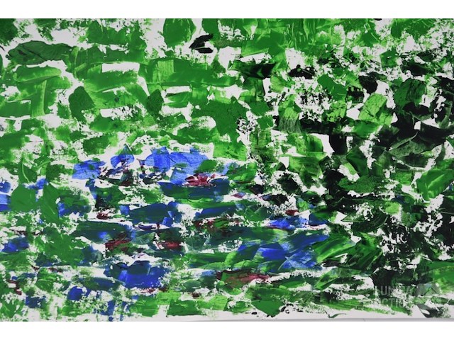 Vera pongaert - afbeelding 4 van  5