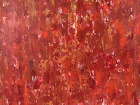 Vera pongaert - afbeelding 1 van  4