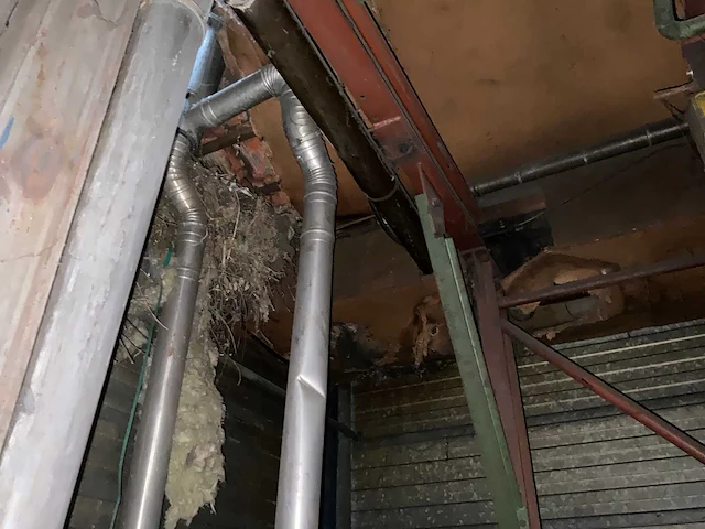 Verfspuit en droog lijn - afbeelding 29 van  49