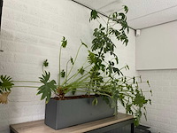 Vergaderset - afbeelding 7 van  7