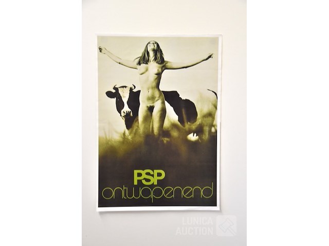 Verkiezingsaffiche - afbeelding 1 van  3