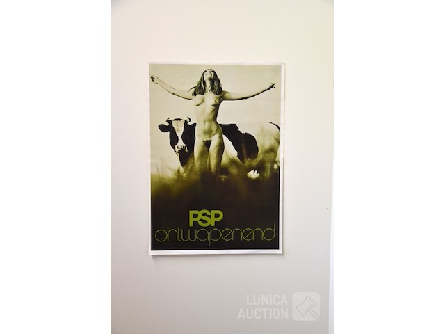 Verkiezingsaffiche - afbeelding 3 van  3