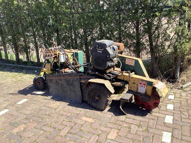 Vermeer stronken frees - afbeelding 1 van  7