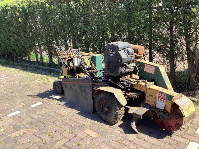 Vermeer stronken frees - afbeelding 2 van  7