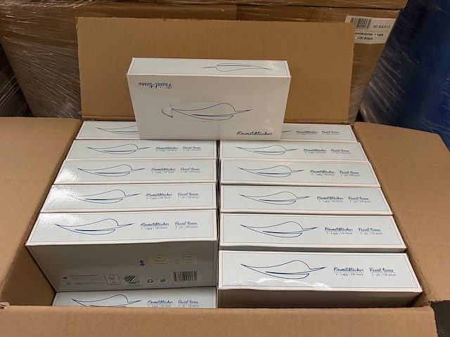Verpakking facial tissue, gezichtsdoekjes 2-laags á 100 stuks (216x) - afbeelding 3 van  5