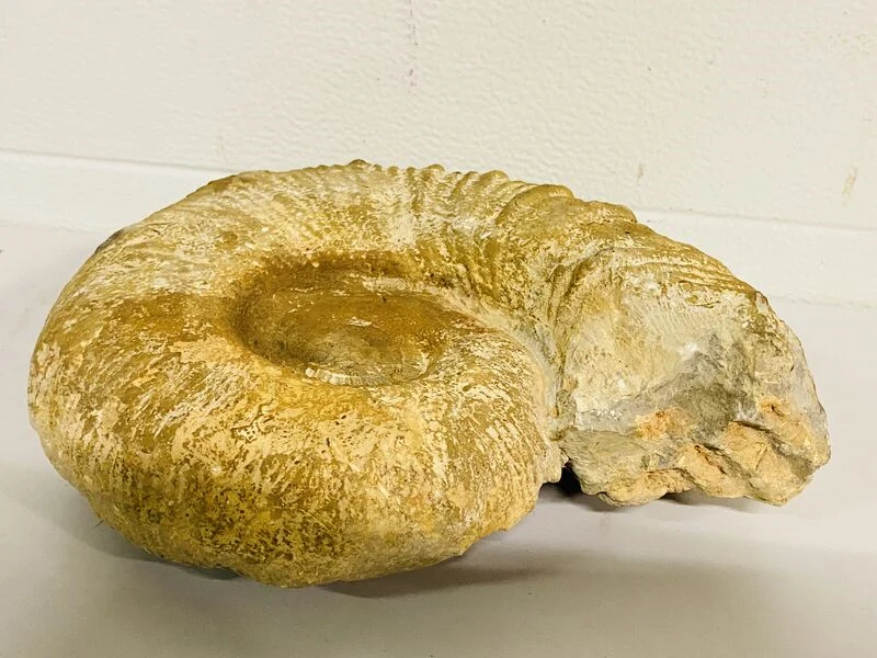 Verpakkingsmateriaal, partijhandel, computeronderdelen, natuurstenen en mineralen