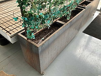 Verrijdbare plantenbak (2x) - afbeelding 4 van  5