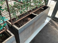 Verrijdbare plantenbak (2x) - afbeelding 5 van  5