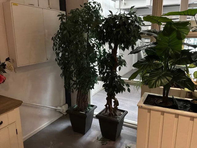 Verrijdbare plantenbak (2x) - afbeelding 4 van  6
