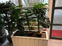 Verrijdbare plantenbak (2x) - afbeelding 3 van  6