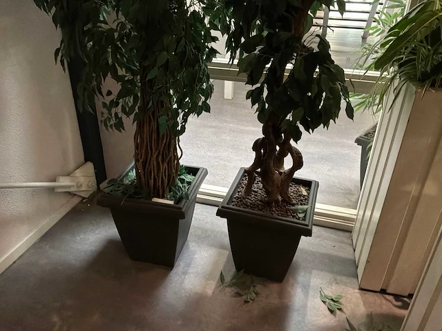 Verrijdbare plantenbak (2x) - afbeelding 5 van  6