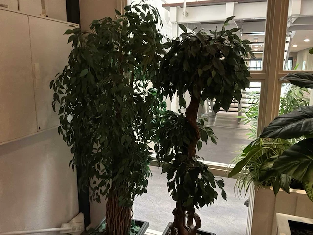 Verrijdbare plantenbak (2x) - afbeelding 6 van  6