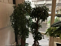 Verrijdbare plantenbak (2x) - afbeelding 6 van  6