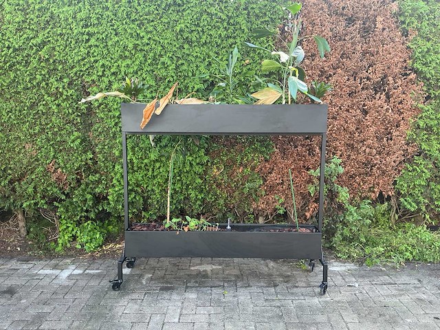 Verrijdbare plantenbak - afbeelding 1 van  10