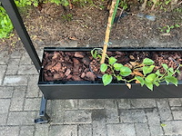Verrijdbare plantenbak - afbeelding 7 van  10