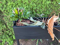 Verrijdbare plantenbak - afbeelding 8 van  10