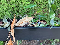 Verrijdbare plantenbak - afbeelding 9 van  10