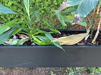Verrijdbare plantenbak - afbeelding 10 van  10