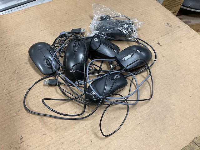 Verschillende muizen - afbeelding 1 van  4