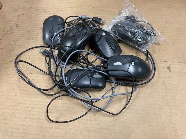 Verschillende muizen - afbeelding 2 van  4