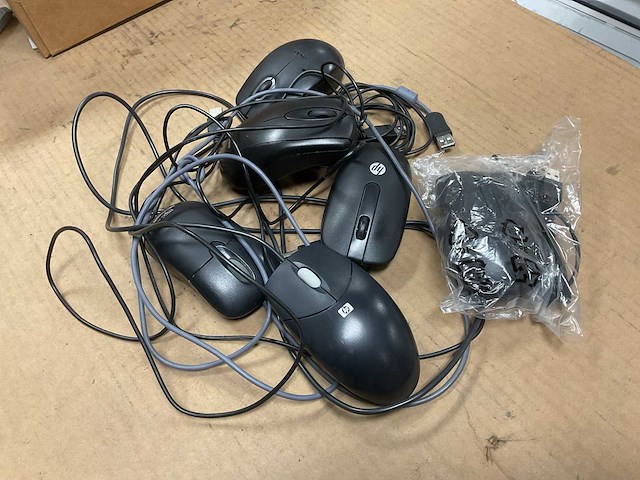 Verschillende muizen - afbeelding 3 van  4