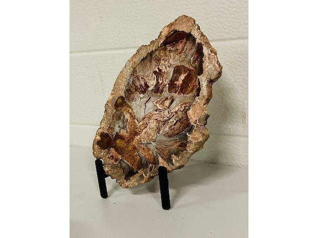 Versteend hout plak met standaard - afbeelding 2 van  4