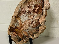 Versteend hout plak met standaard - afbeelding 2 van  4