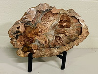 Versteend hout plak met standaard - afbeelding 4 van  4