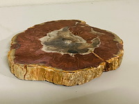 Versteend hout plak met standaard - afbeelding 1 van  5