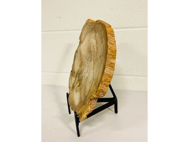 Versteend hout plak met standaard - afbeelding 3 van  5