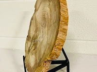 Versteend hout plak met standaard - afbeelding 3 van  5