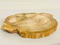 Versteend hout plak met standaard - afbeelding 4 van  5