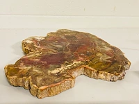 Versteend hout plak met standaard - afbeelding 5 van  6