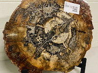 Versteend hout plak + standaard - afbeelding 1 van  5