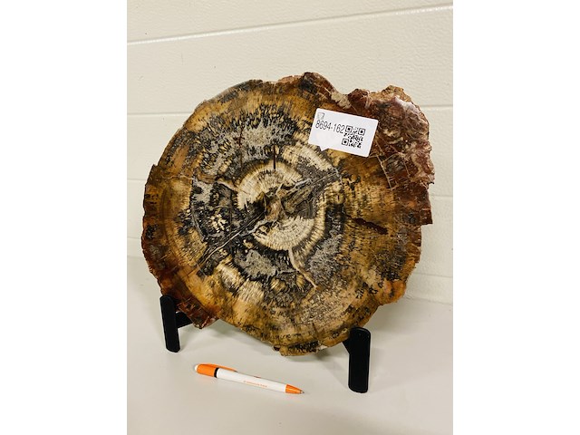 Versteend hout plak + standaard - afbeelding 2 van  5