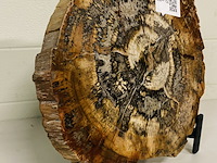 Versteend hout plak + standaard - afbeelding 3 van  5