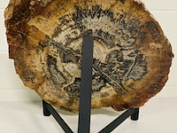 Versteend hout plak + standaard - afbeelding 4 van  5